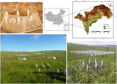 Effect of short-term warming and drought on the methanogenic communities in degraded peatlands in Zoige Plateau